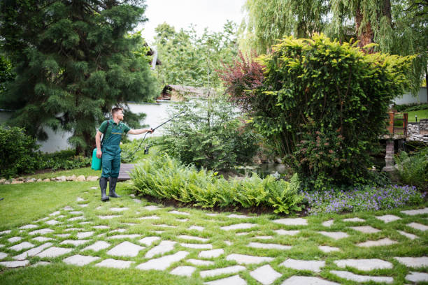 Best Exterminator Services  in Chalco, NE