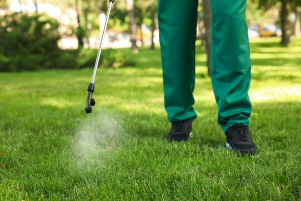 Best Mosquito Control Services  in Chalco, NE