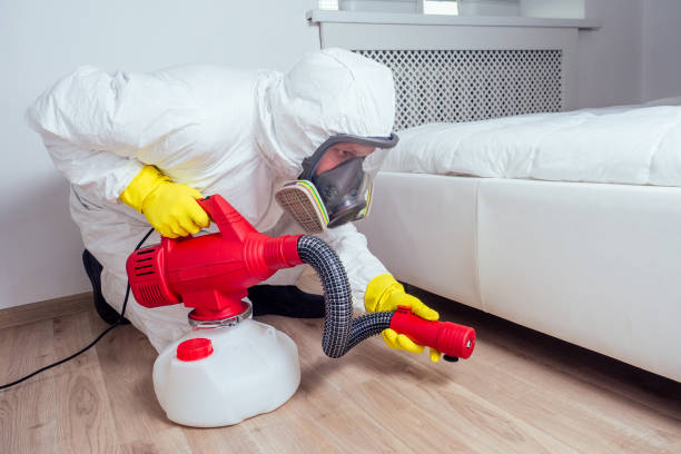 Best Best Pest Control Companies  in Chalco, NE