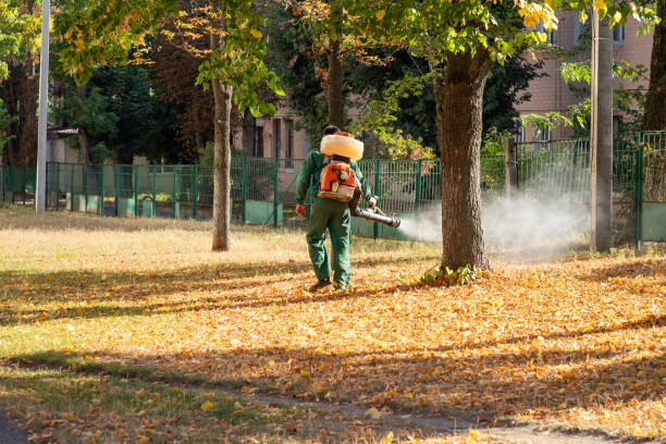 Flea Control Services in Chalco, NE