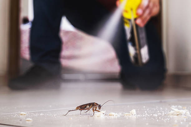 Best Pest Prevention Services  in Chalco, NE