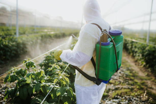Best Emergency Pest Control  in Chalco, NE